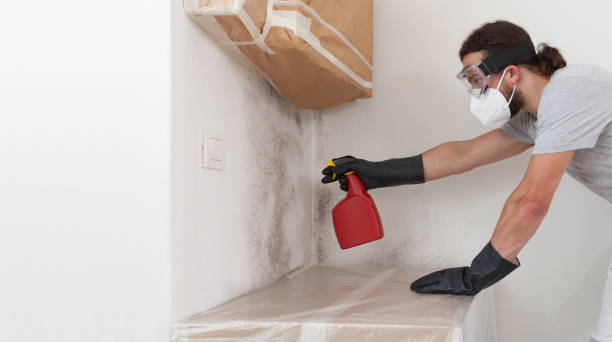 Professional Crawl Space Mold Remediation technician working in Elmhurst, IL